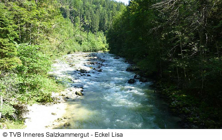 Trek Safari - Nenáročná turistika v Solné komoře 9